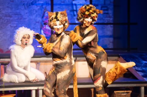 Musical Cats im AEF Kaarst; Foto: (c) Klaus Stevens Musical Cats im AEF Kaarst; Foto: (c) Klaus Stevens